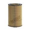 INTERNATIO 2596171C91 Oil Filter